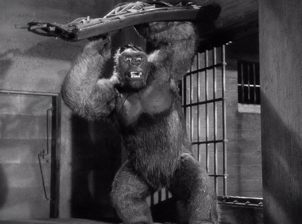 Ein Gorilla hebt eine Struktur über seinem Kopf in einem dunklen Raum mit einem Käfig im Hintergrund.