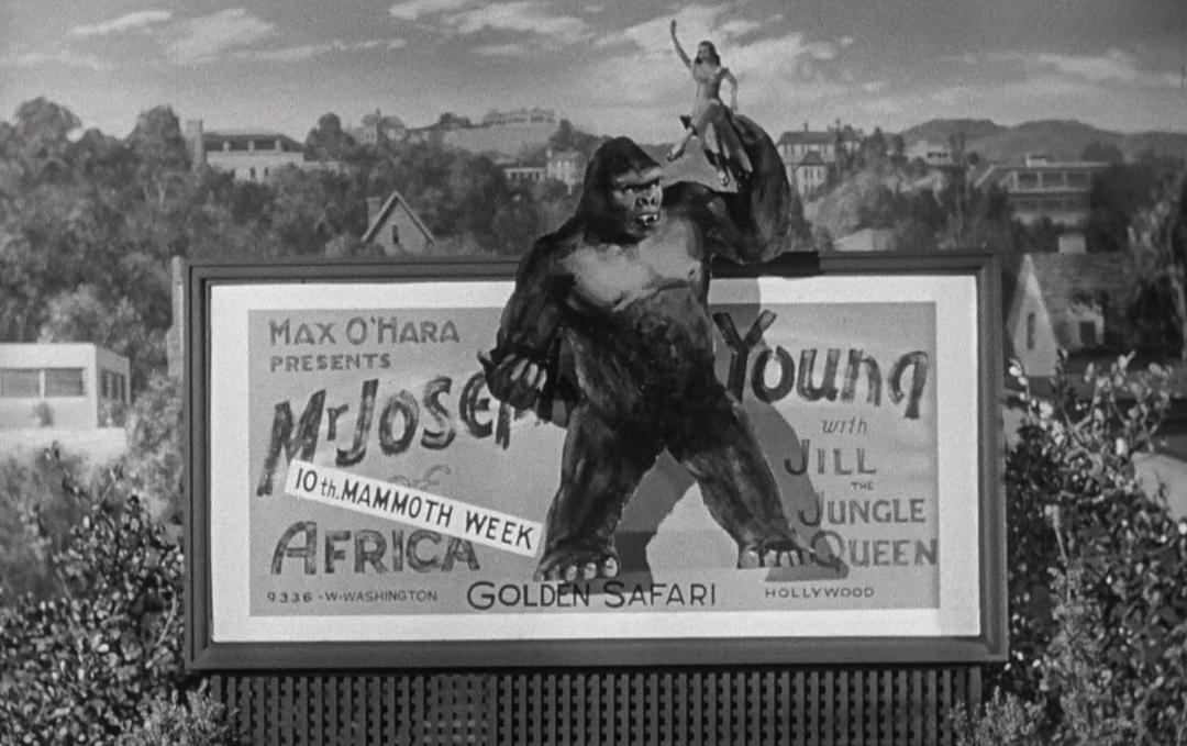Ein Plakat zeigt einen Gorilla, der eine Frau hält, mit dem Titel 'Mr. Joseph Young'.