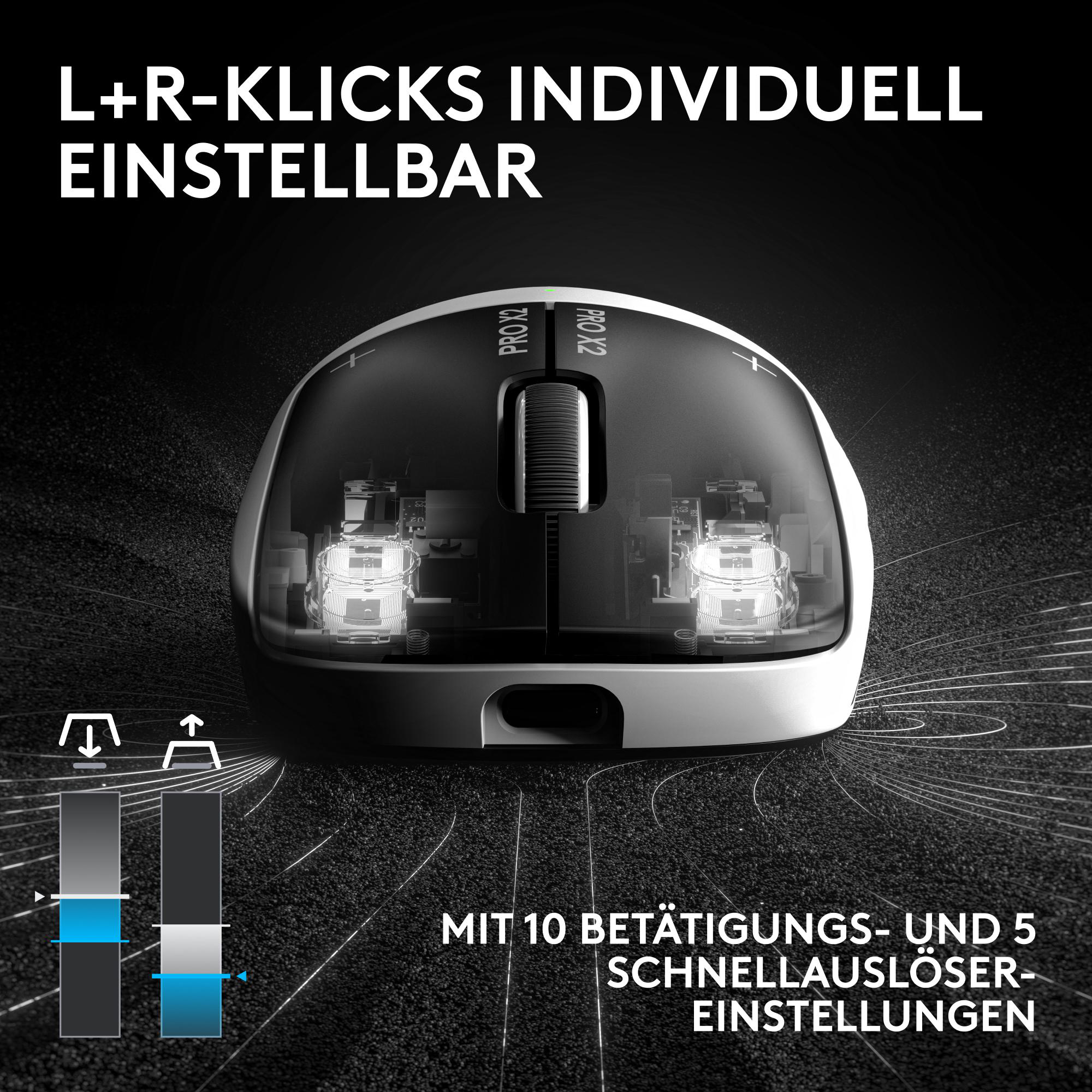 Transparente Maus mit internen Komponenten, Scrollrad und Text.