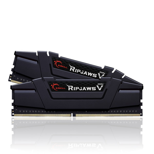 Yan yana iki siyah G.Skill Ripjaws V DDR4 RAM modülü.