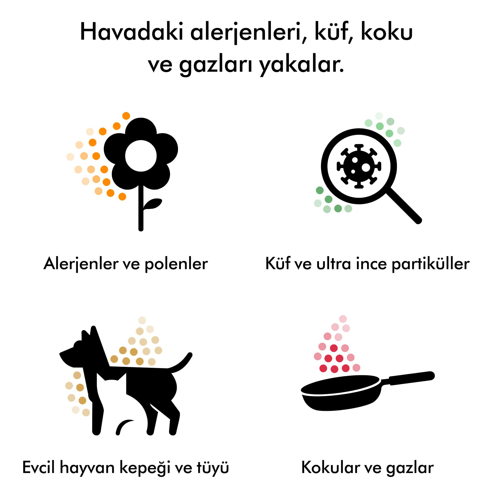 Çiçek, büyüteçte virüs, evcil hayvan, tava. Alerjenleri, küfü, kokuları ve gazları yakalar.