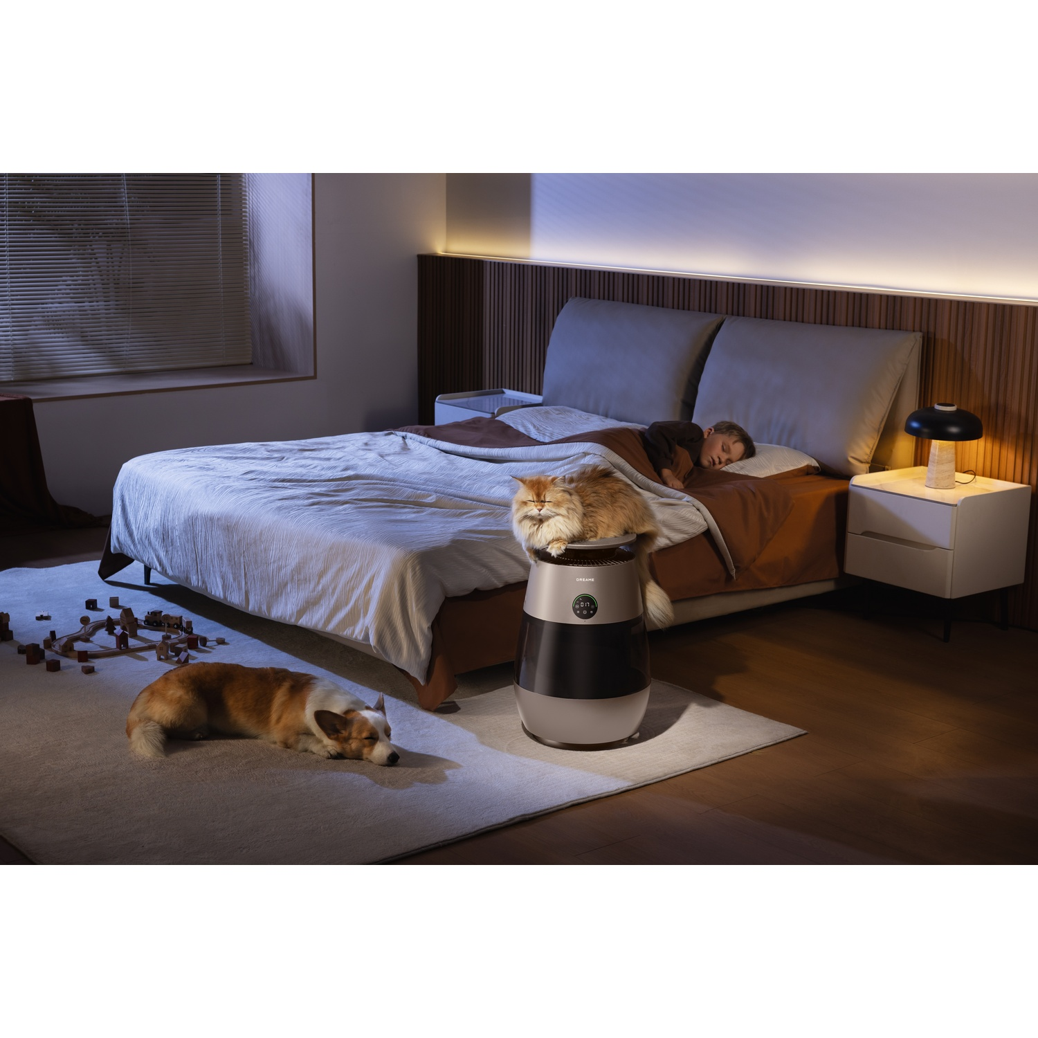 A dog and cat in a bedroom while a child sleeps.