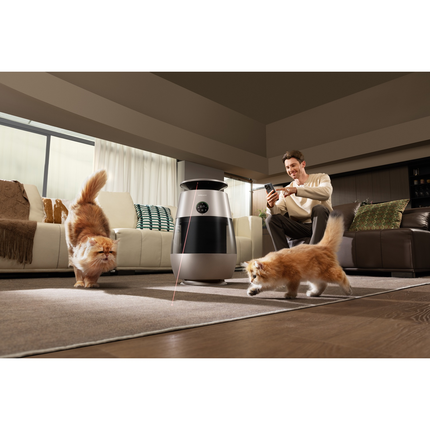 Man plays with cats using a laser pointer toy in a living room.