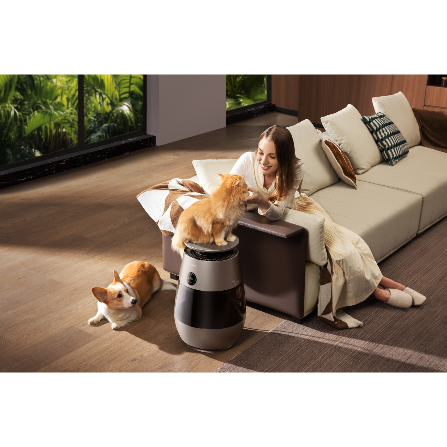 A woman on a sofa pets a cat. A corgi lies on the floor.