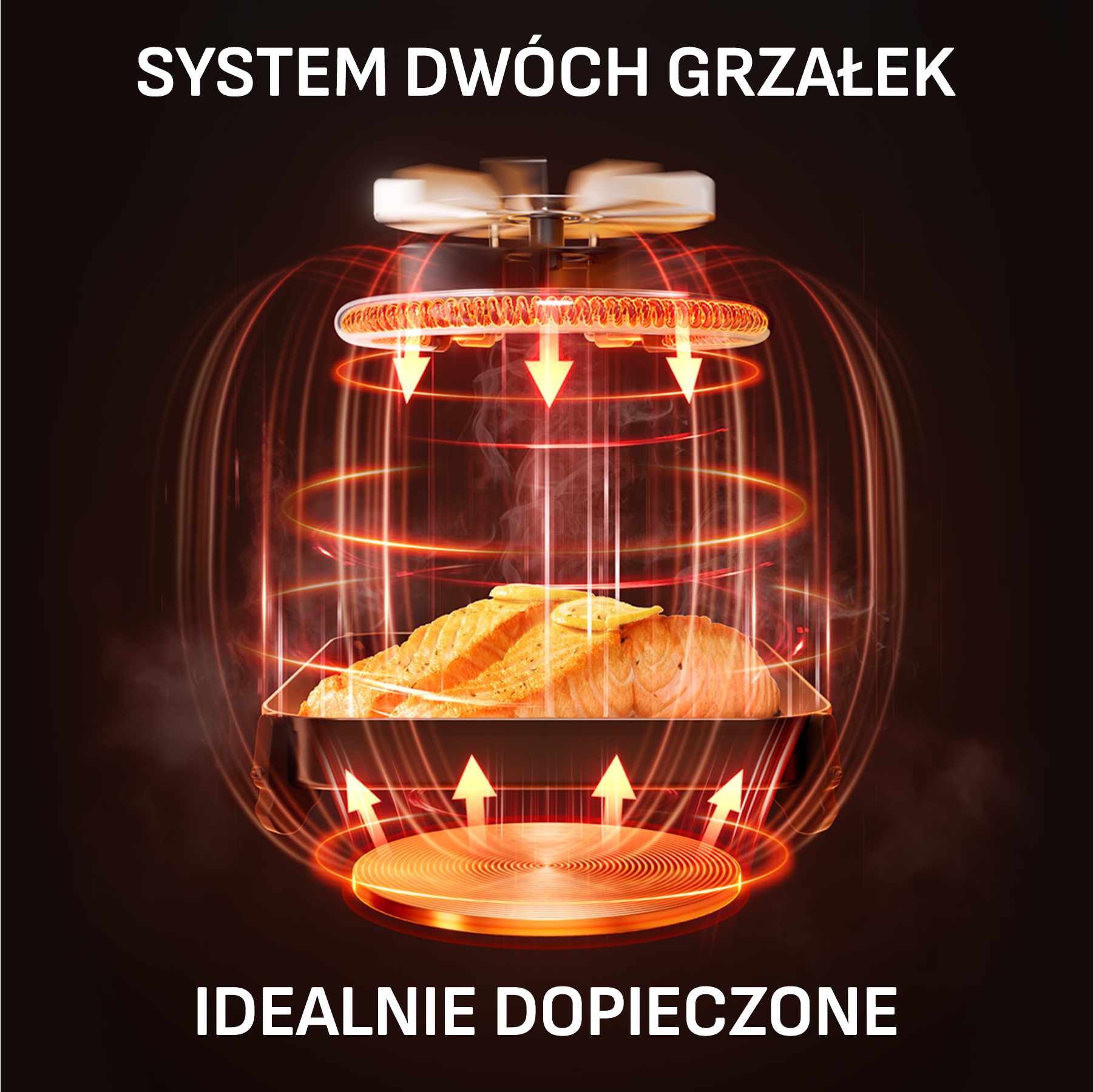 System podwójnego grzałki z łososiem we frytkownicy powietrznej, krążące gorące powietrze.