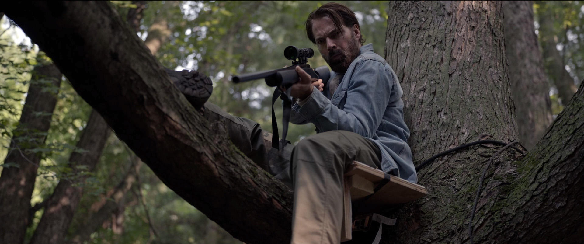 Ein Mann mit Gewehr sitzt auf einem Ast in einem Wald und zielt.