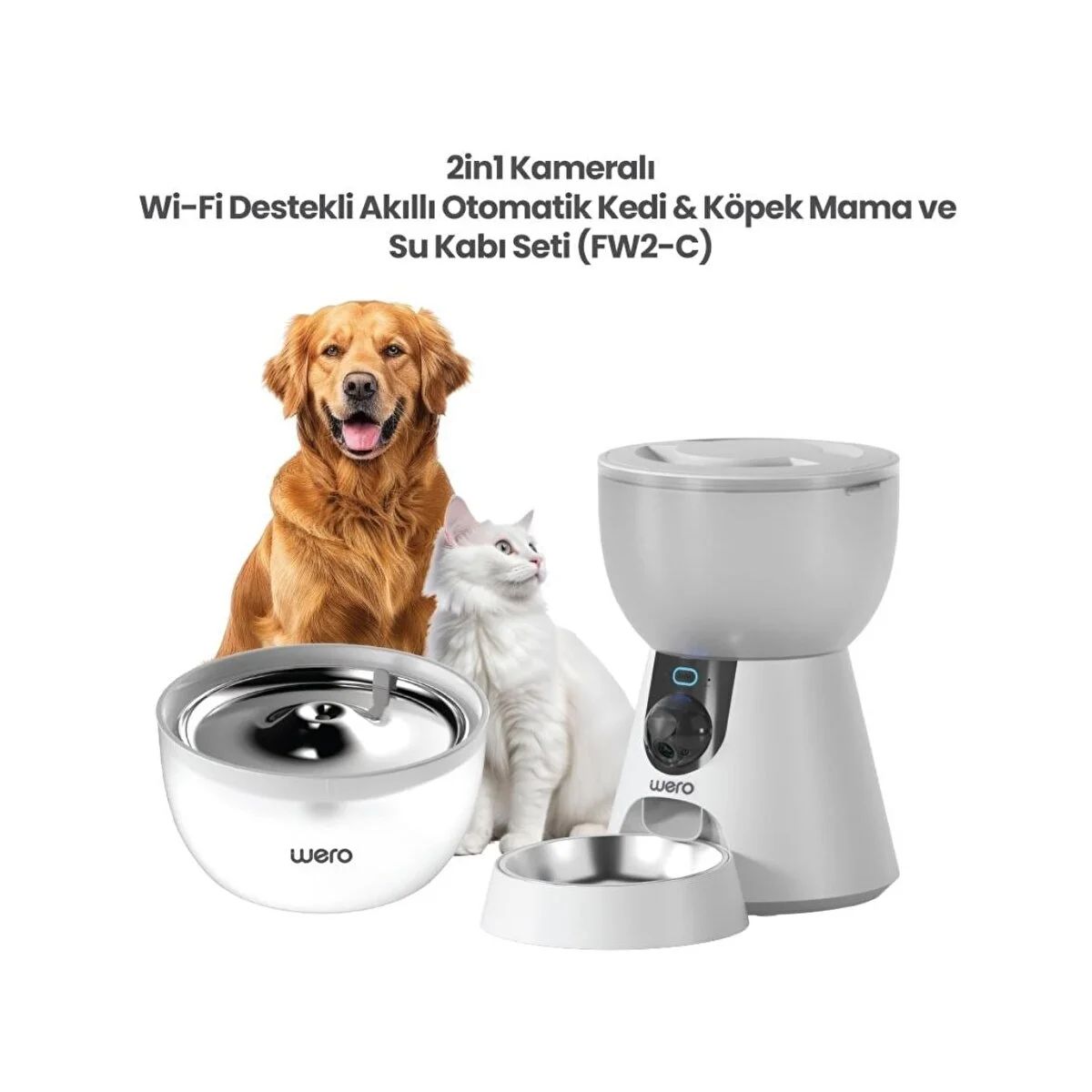 Golden retriever ve beyaz kedi otomatik mama ve su kabı yanında.