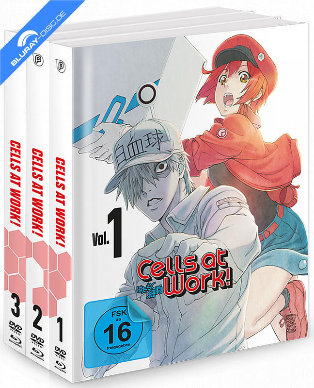 Anime-Box 'Cells at Work!' Vol. 1 mit FSK 16-Siegel und Anime-Charakteren.