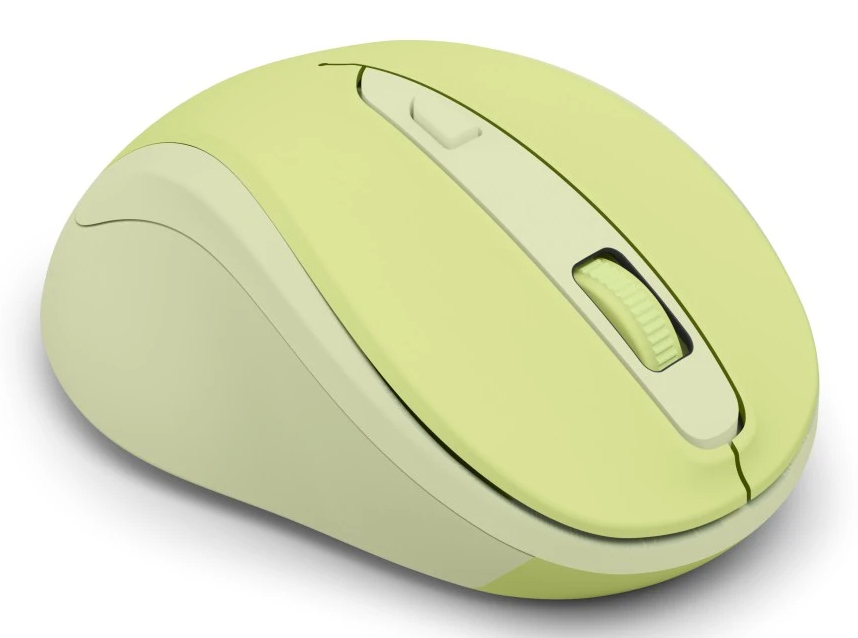 Eine hellgrüne Computermouse mit einem Rad und zwei Knöpfen, auf weißem Hintergrund.