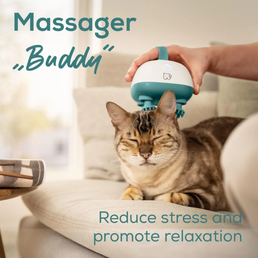 Katze wird am Kopf von einem Massager "Buddy" massiert. Entspannung.