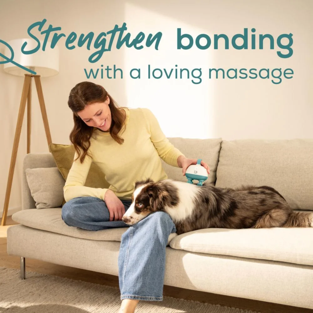 Frau bürstet Hund auf Sofa mit Massagegerät