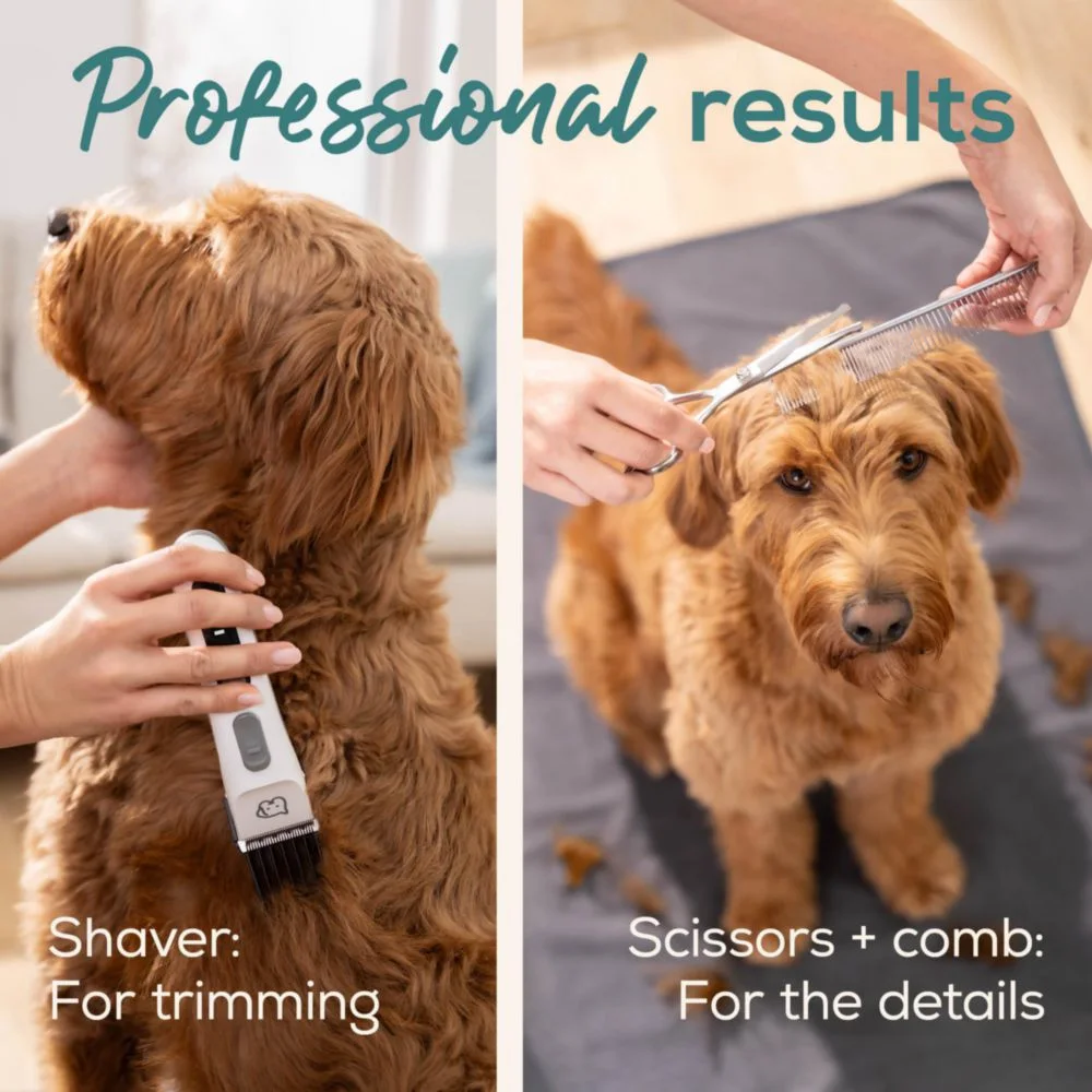Ein Hund wird mit einem Rasierer und dann mit Schere und Kamm für professionelle Ergebnisse getrimmt.