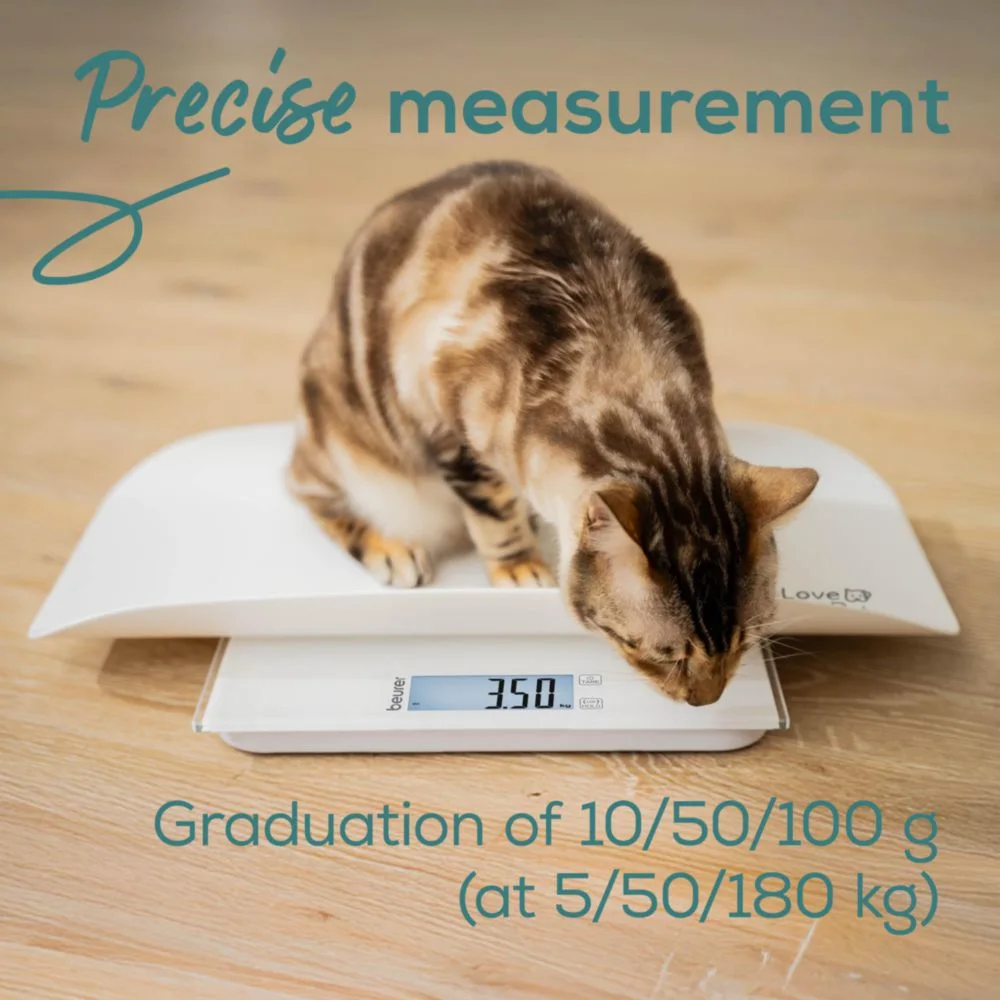 Eine Katze sitzt auf einer digitalen Waage, die 3.50 anzeigt.