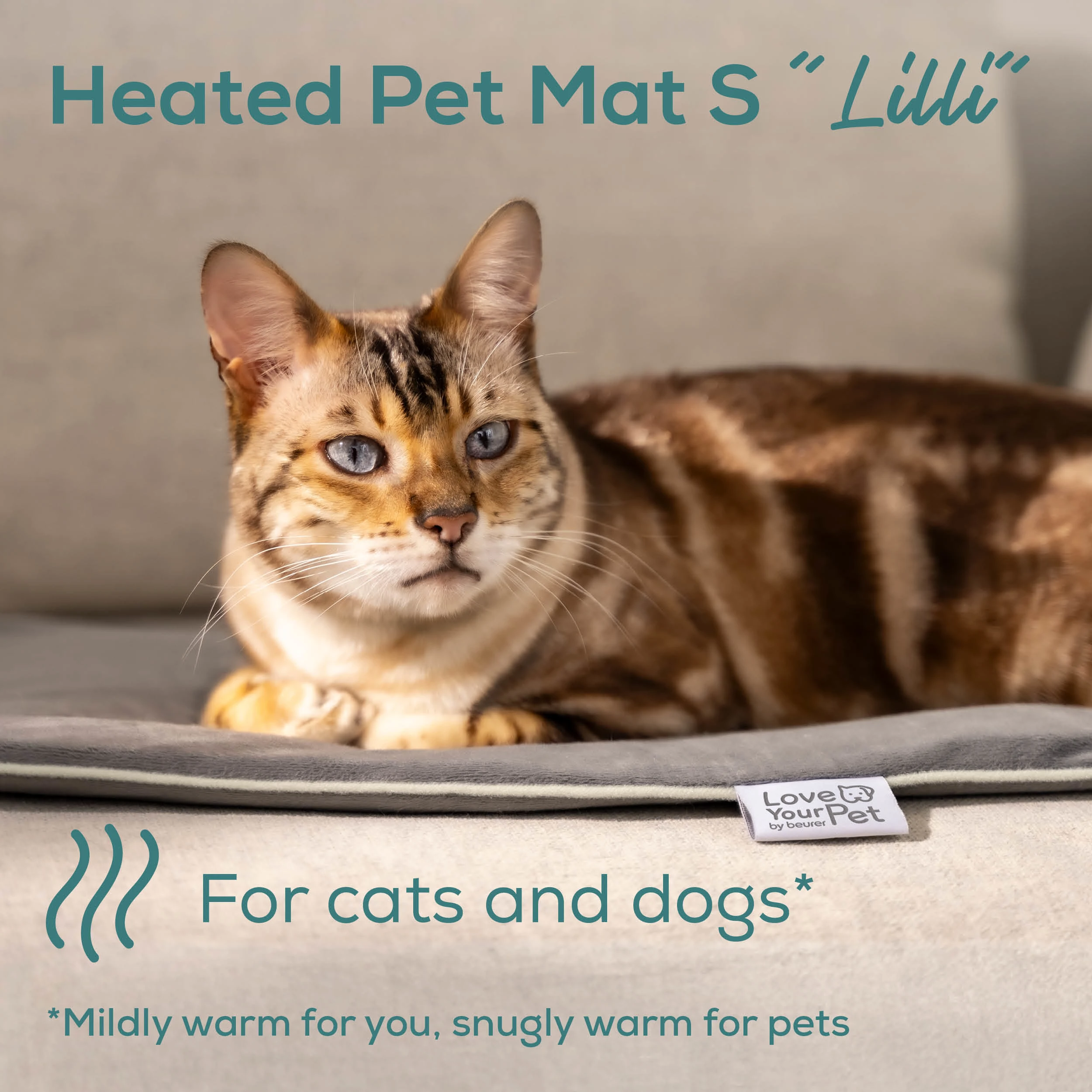 Un chat est allongé sur un tapis chauffant pour animaux.