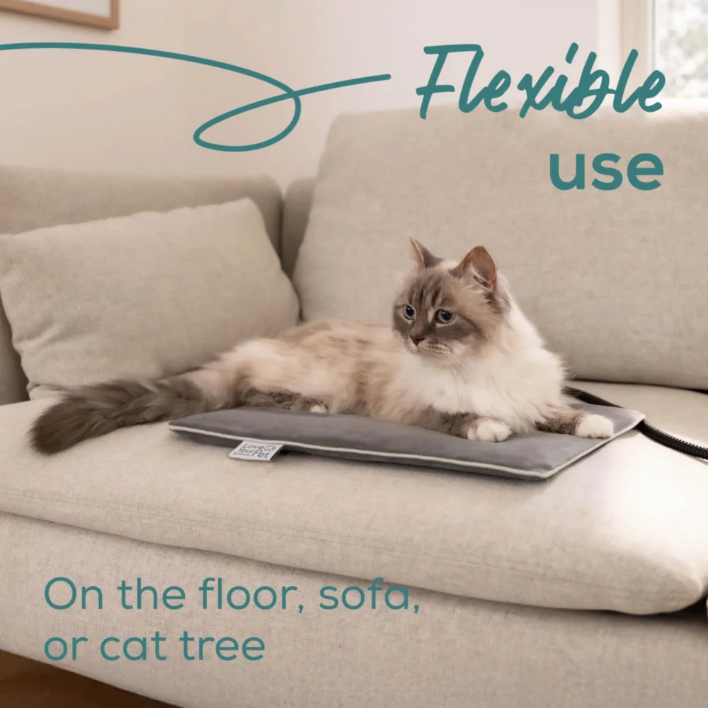 Un chat est allongé sur un coussin chauffant sur un canapé.