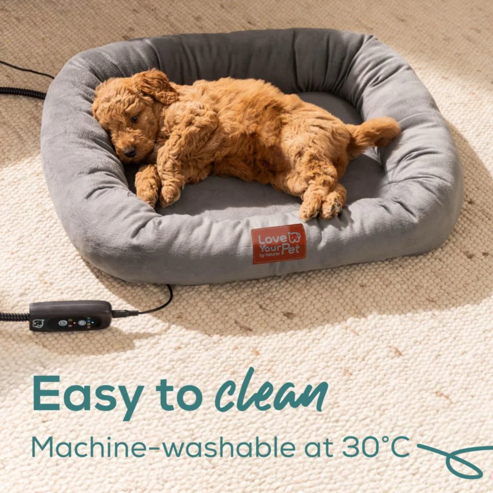 Ein brauner Hundewelpe schläft in einem grauen Hundebett auf einem cremefarbenen Teppich.