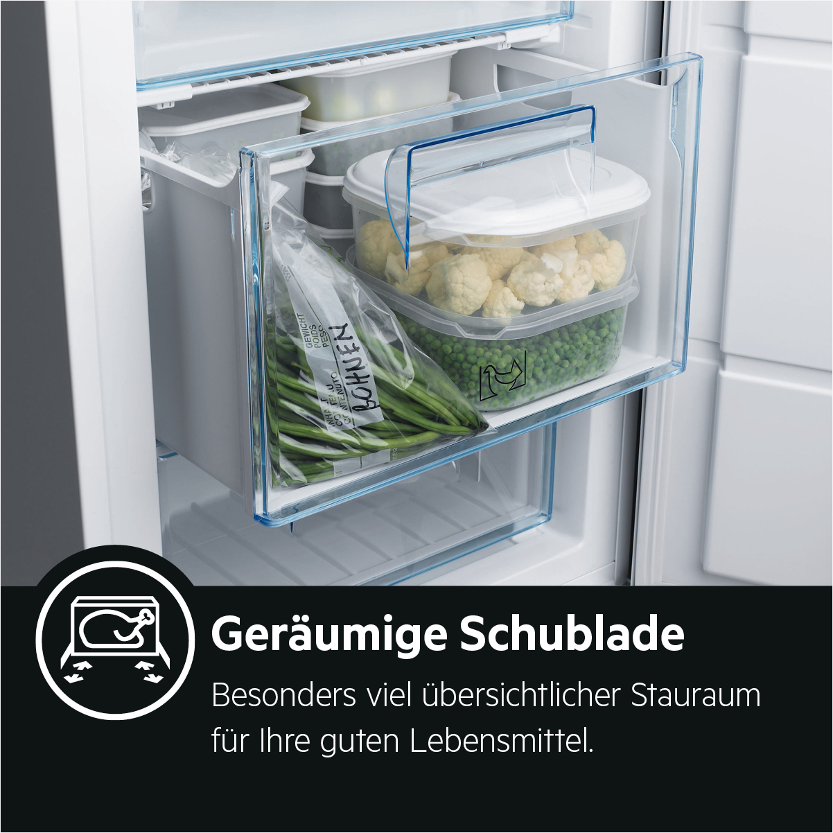 Gefrierschublade mit Bohnen, Erbsen und Blumenkohl in Behältern.
