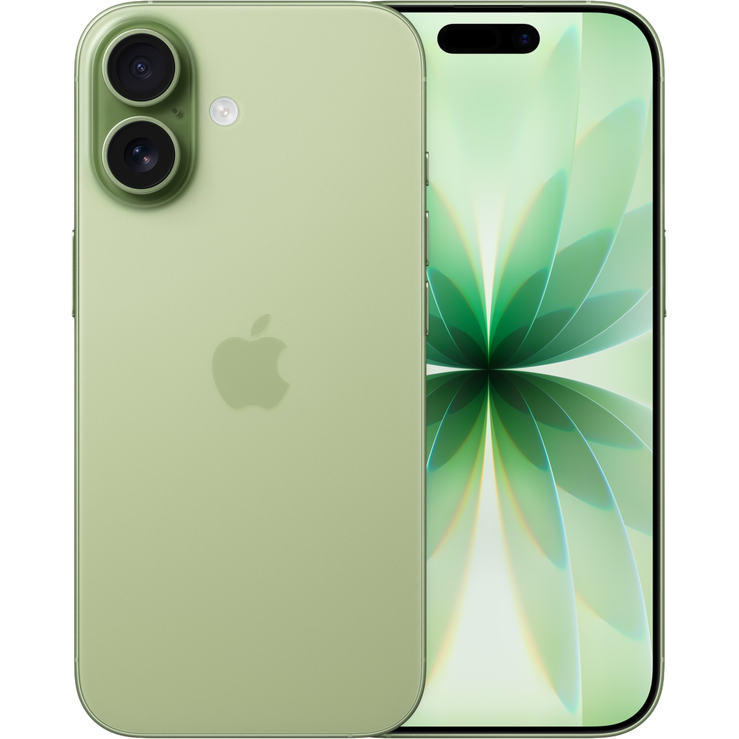A light green smartphone with dual rear cameras and a colorful display.