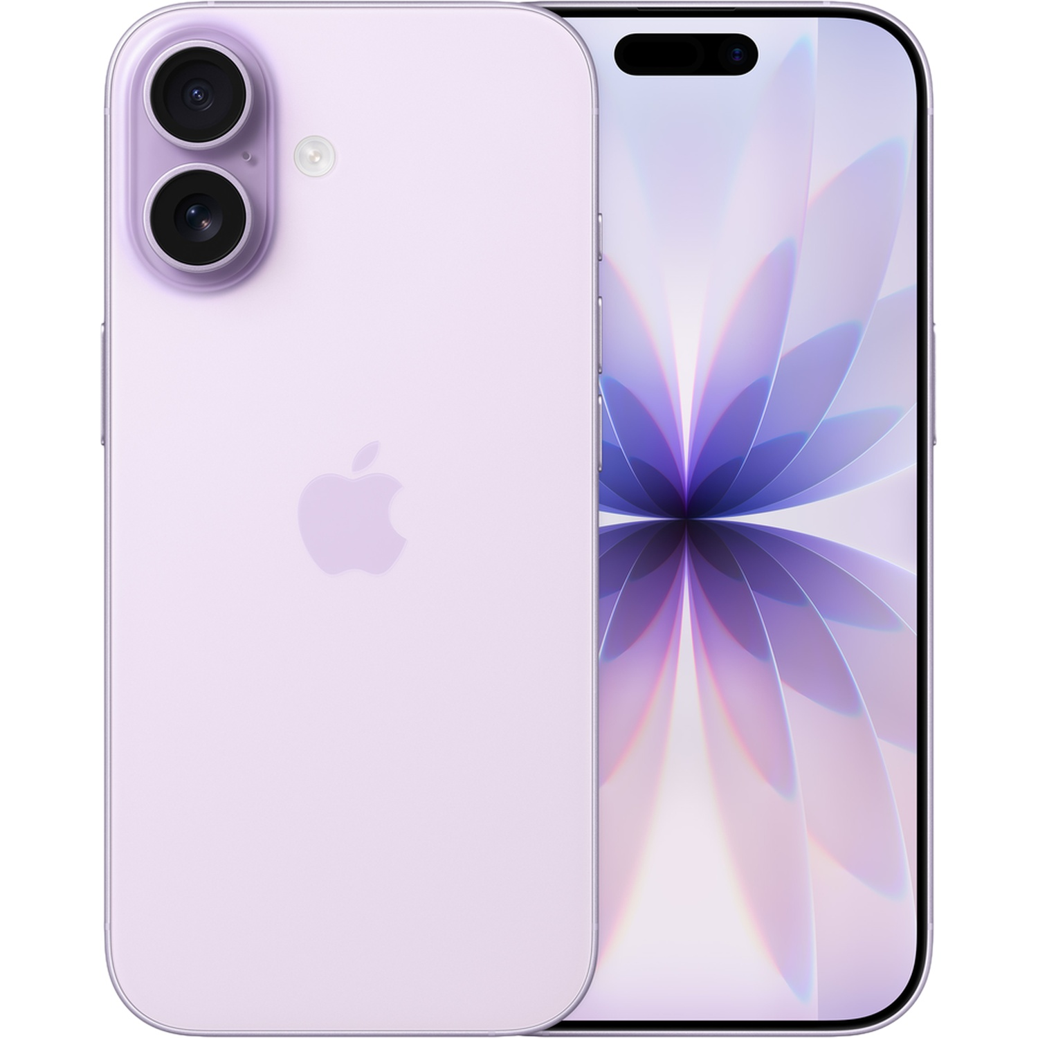 A purple iPhone with dual rear cameras and a blooming wallpaper on its screen.