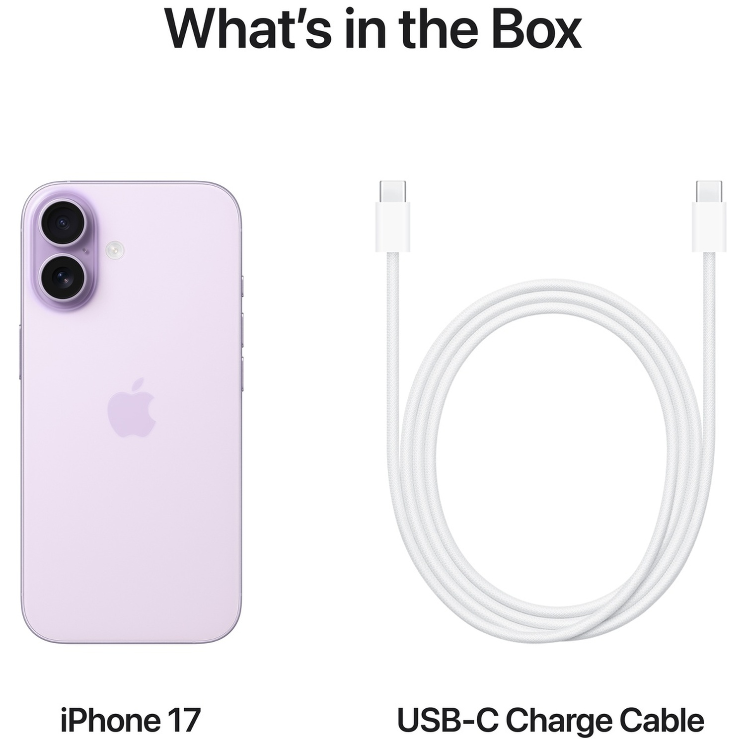 A purple iPhone 17 and a white USB-C charge cable on a white background.