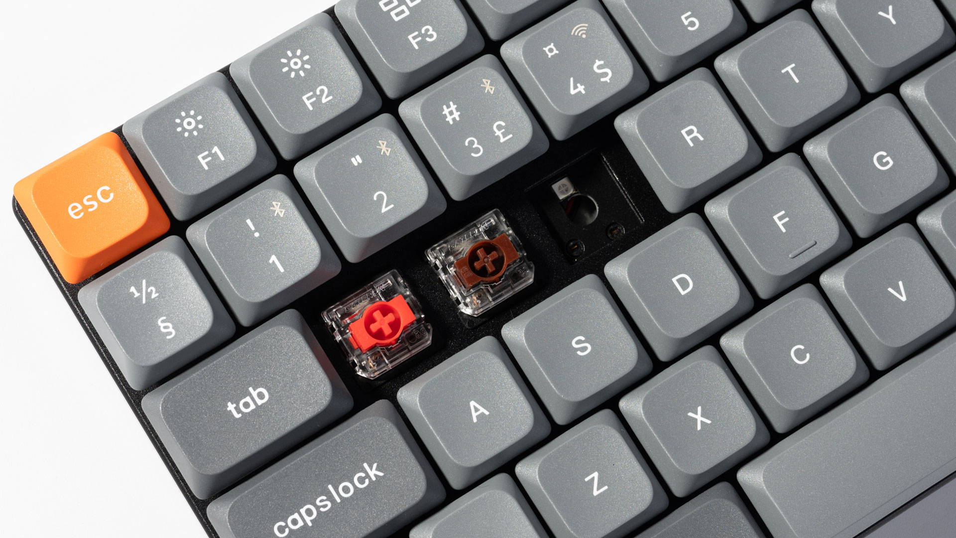 Nahaufnahme einer grauen Tastatur mit orangefarbener ESC-Taste und zwei freigelegten mechanischen Schaltern.