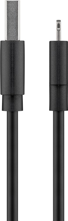 Zwei schwarze Kabel mit unterschiedlichen Anschlüssen, ein USB-C und ein Lightning-Stecker.