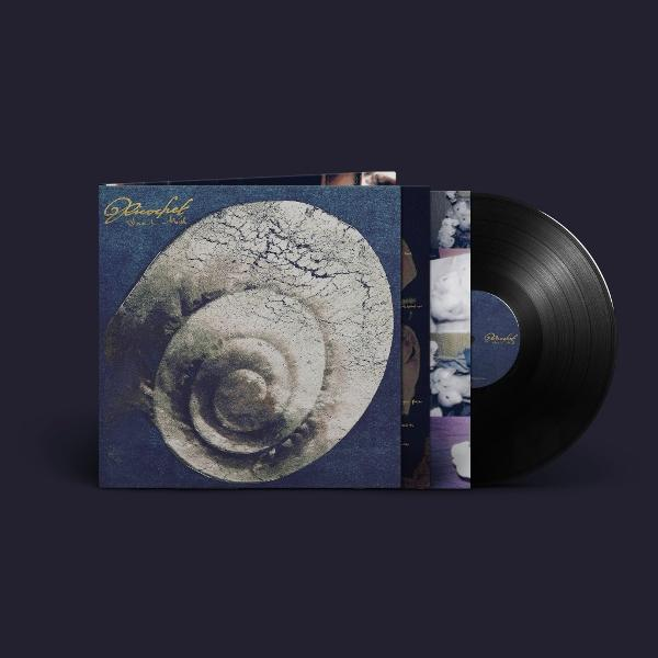 Schwarze Schallplatte neben Albumcover mit Spiralmuster.