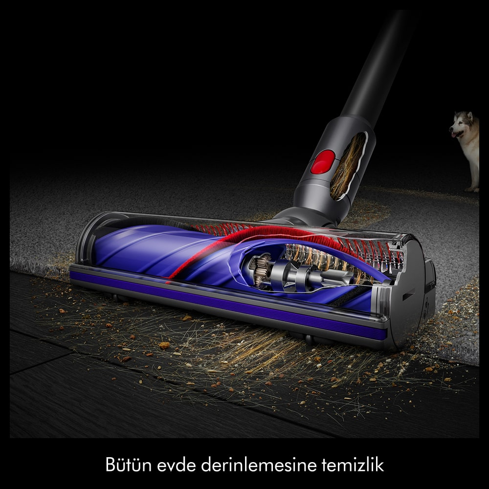 Fırça rulosuyla döküntüleri temizleyen elektrikli süpürge başlığının kesit görünümü. Arkada bir husky duruyor.