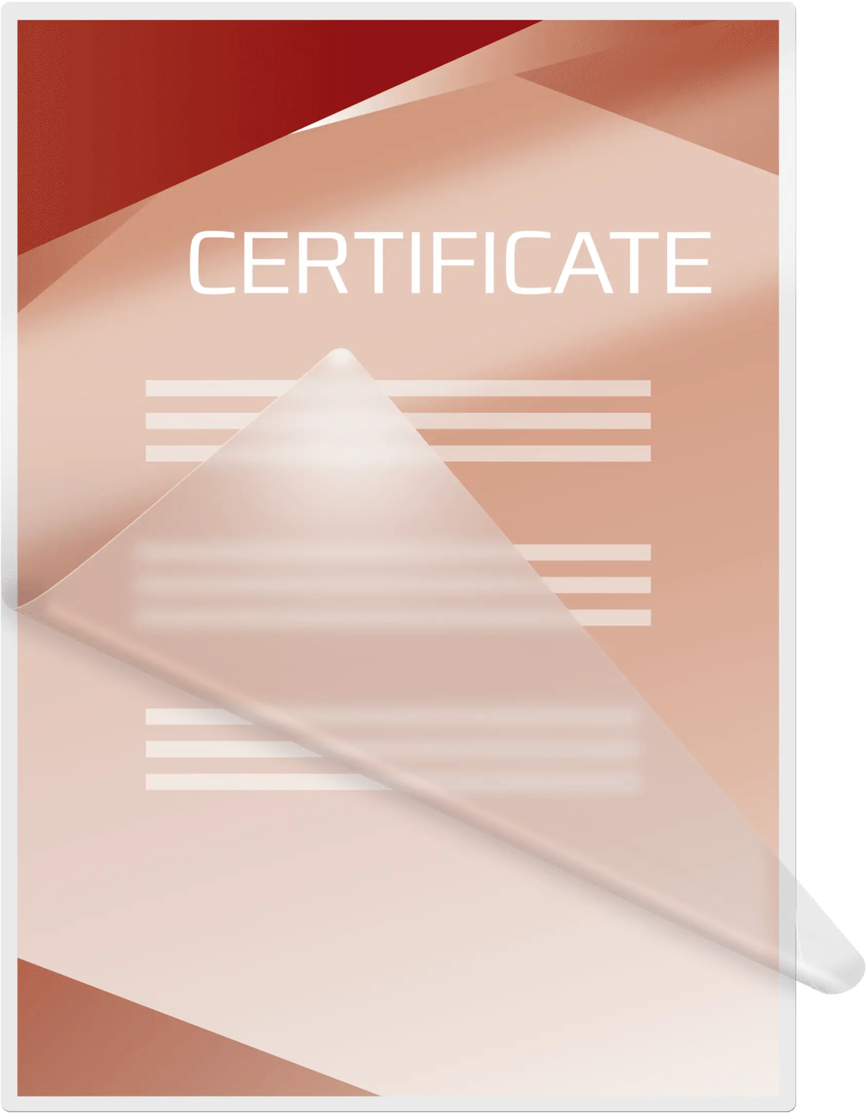Egy "CERTIFICATE" feliratú és vonalas tanúsítvány.