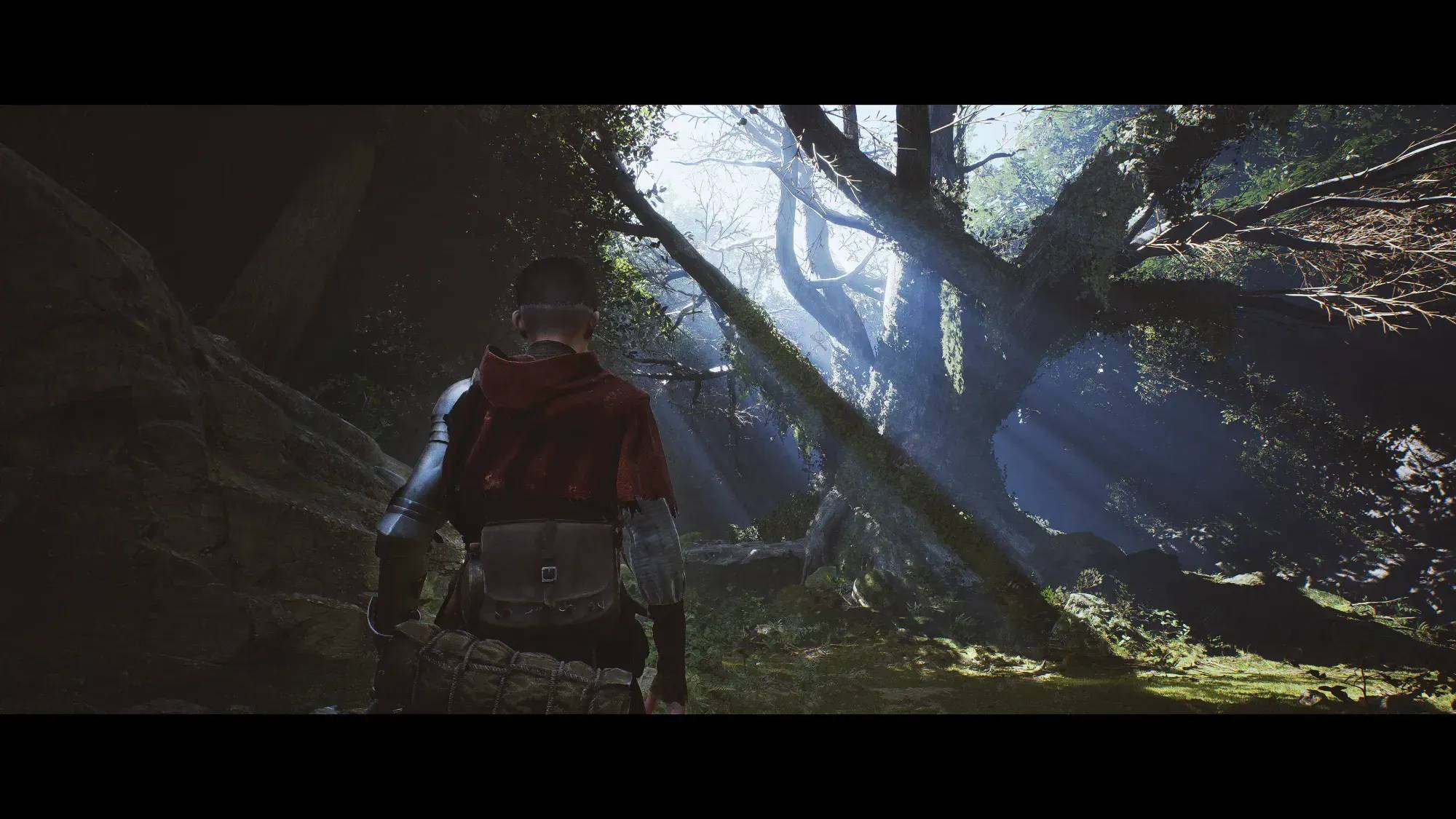 Hombre con capa roja frente a un bosque soleado con árboles cubiertos de musgo.