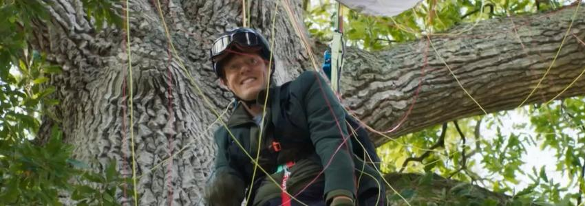 Ein Mann in Schutzkleidung klettert auf einen Baum, umgeben von Seilen.