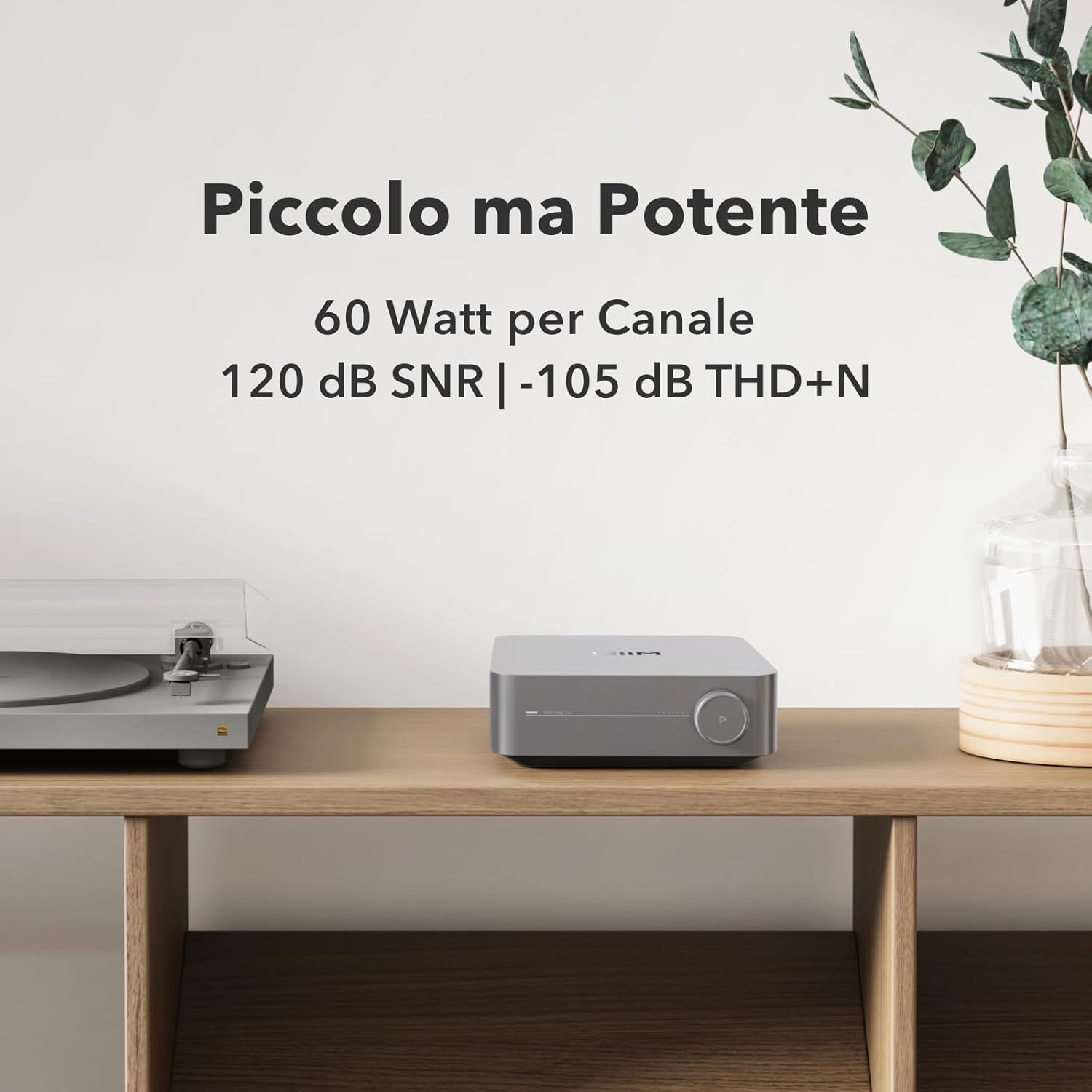 Un giradischi e un amplificatore su uno scaffale di legno. Piante sullo sfondo.