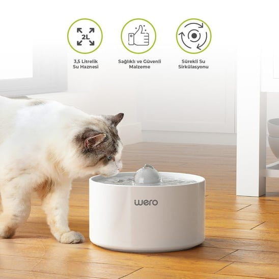 Beyaz 'wero' markalı su sebili içen kedi. Üzerinde 3 ikon.