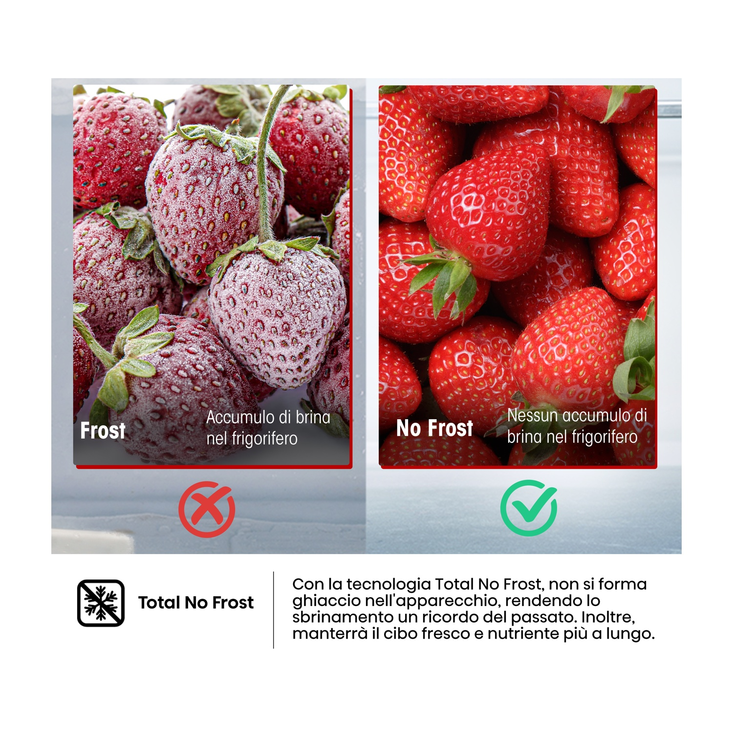 Fragole ghiacciate con brina vs. fragole fresche senza brina. Logo No Frost.