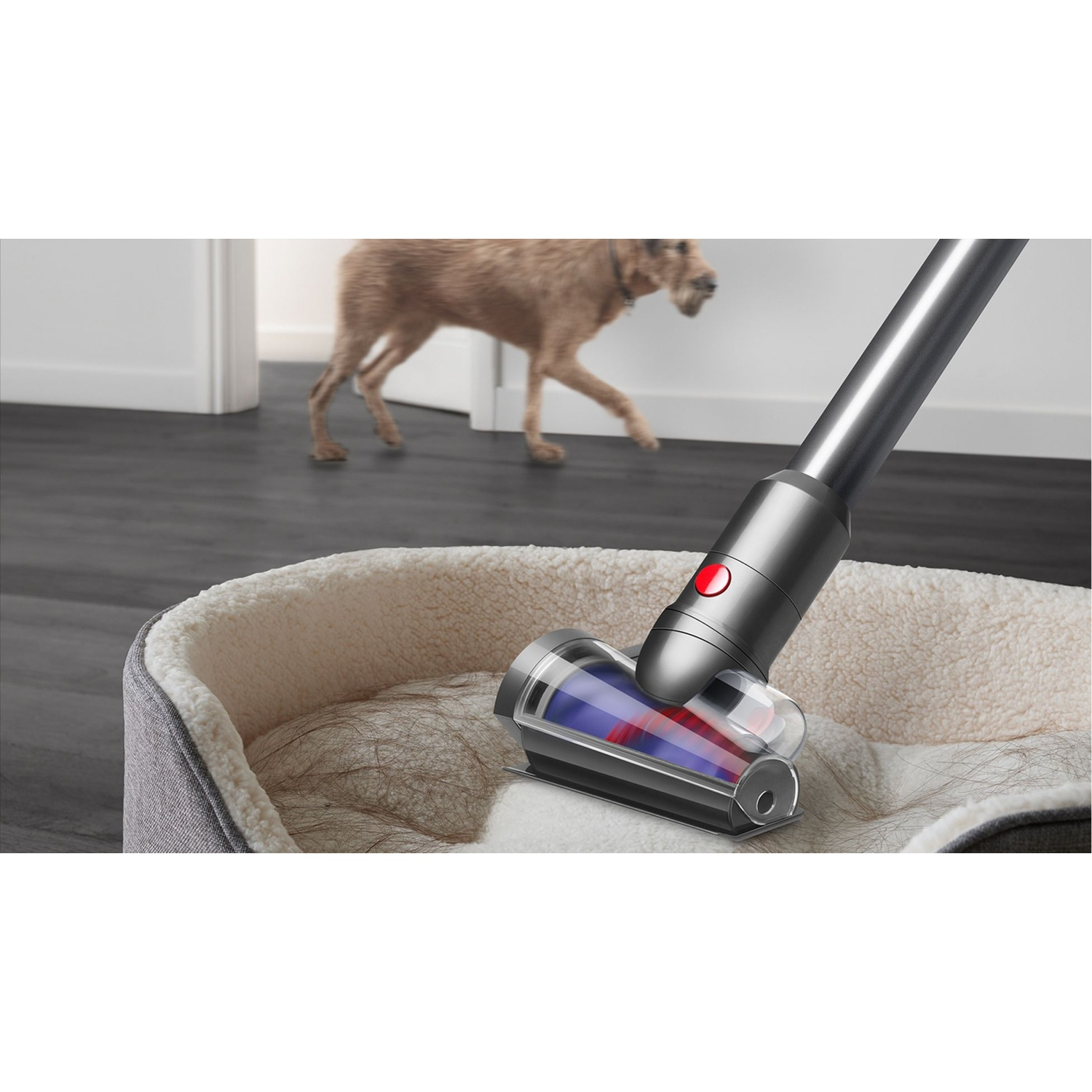 Un aspirapolvere pulisce la cuccia di un cane, con un cane che passa sullo sfondo.