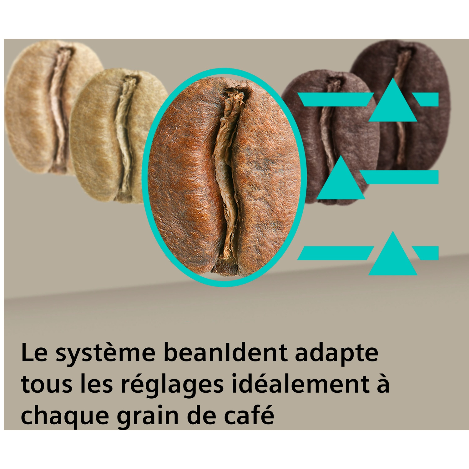Cinq grains de café de différentes torréfactions, un mis en avant.
