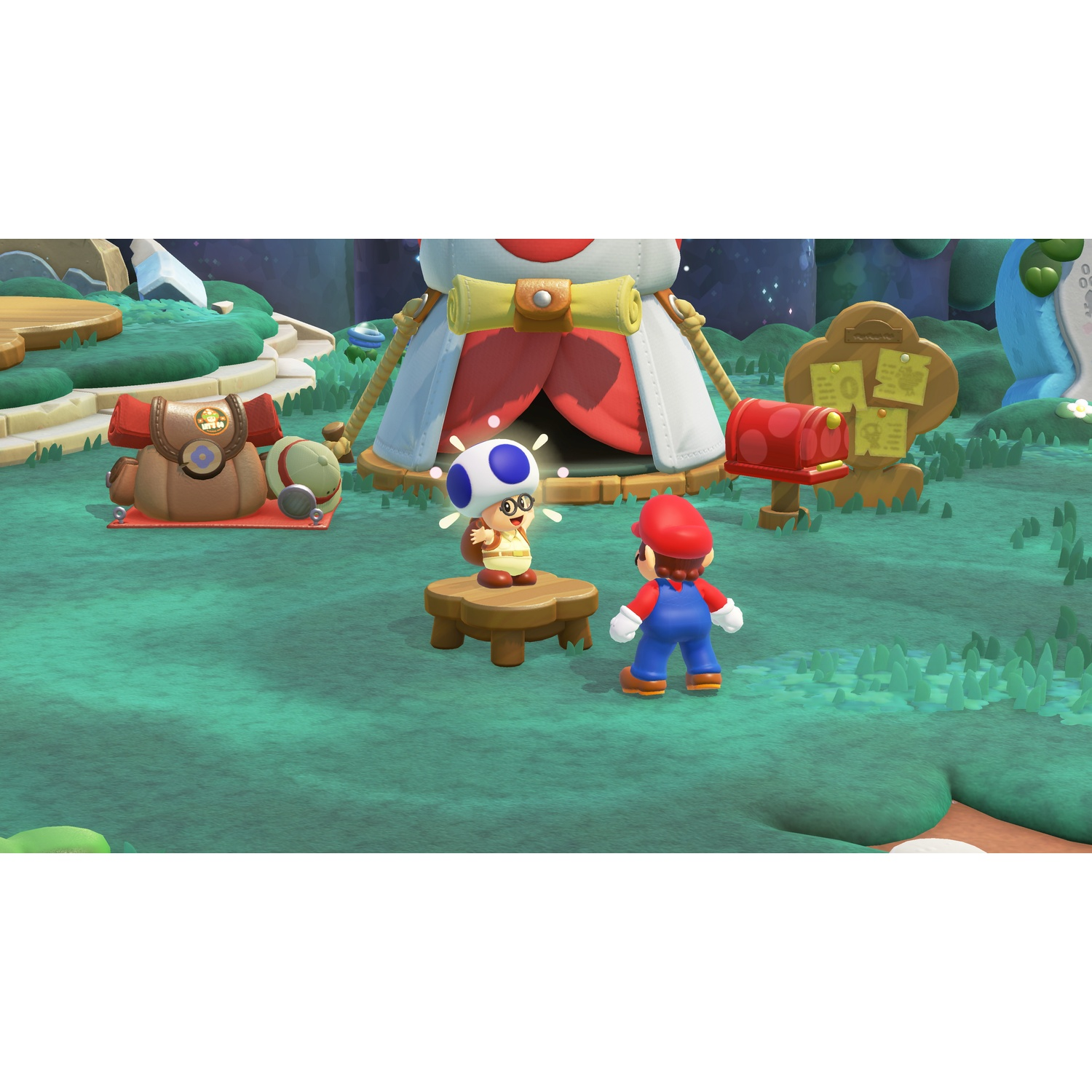 Mario staat voor een paddenstoelpersonage op een voetstuk. Een tent en brievenbus op de achtergrond.