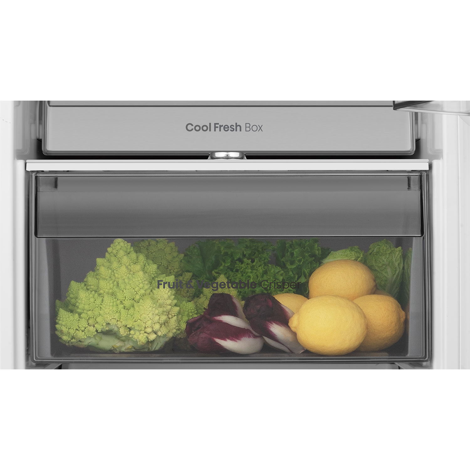 Crisper drawer with Romanesco, lettuce, lemons, and radicchio.