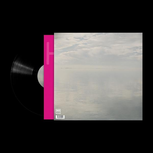Schwarze Schallplatte mit Hülle, die eine weite Wasserfläche und den Himmel zeigt.
