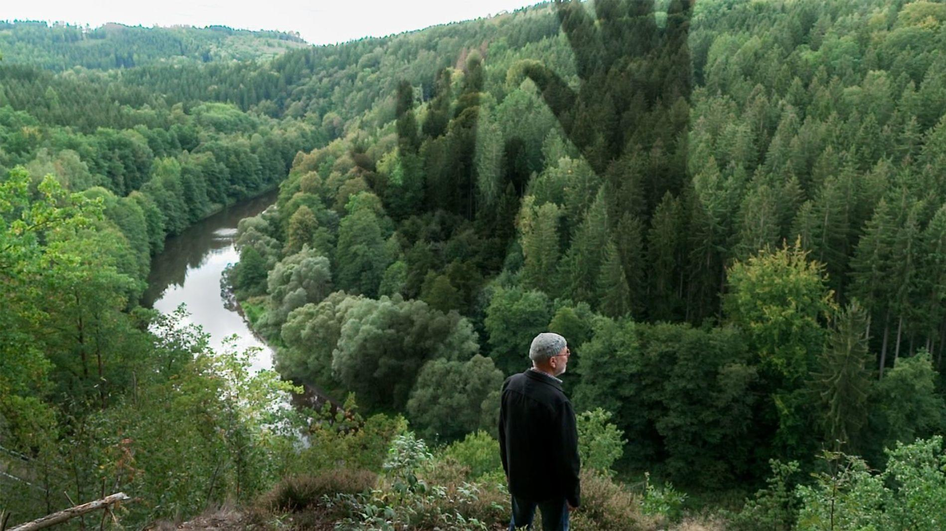 Ein Mann steht auf einem Hügel und blickt auf einen Fluss, der sich durch einen dichten Wald schlängelt.
