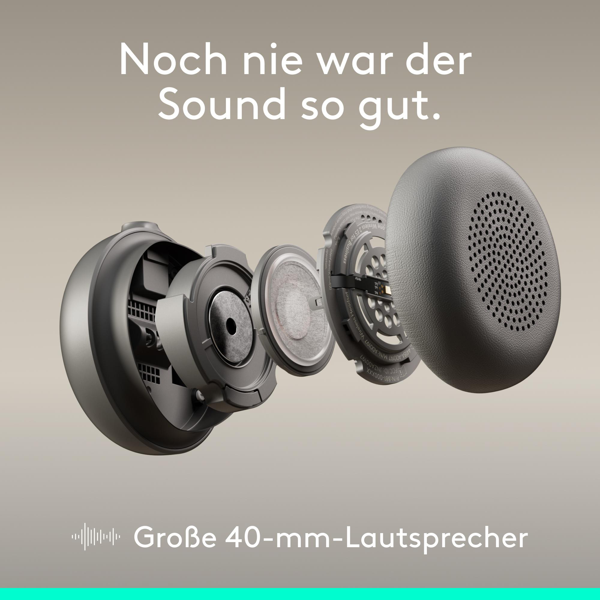 Explodierte Ansicht eines Kopfhörers mit 40-mm-Treibern. Graue und schwarze Teile.