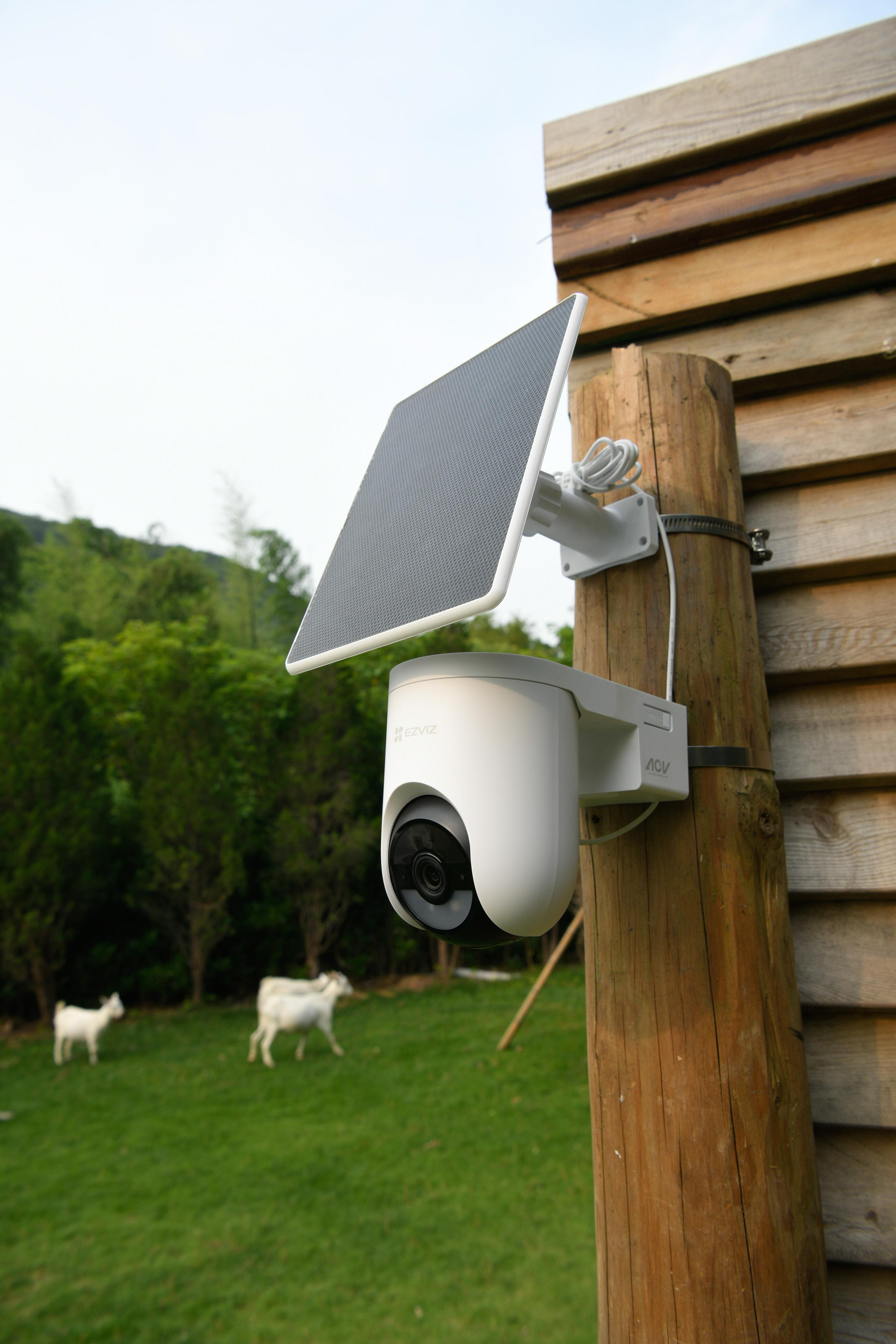 Eine weiße Überwachungskamera mit Solarpanel an einem Holzpfahl, Ziegen auf einer grünen Wiese.