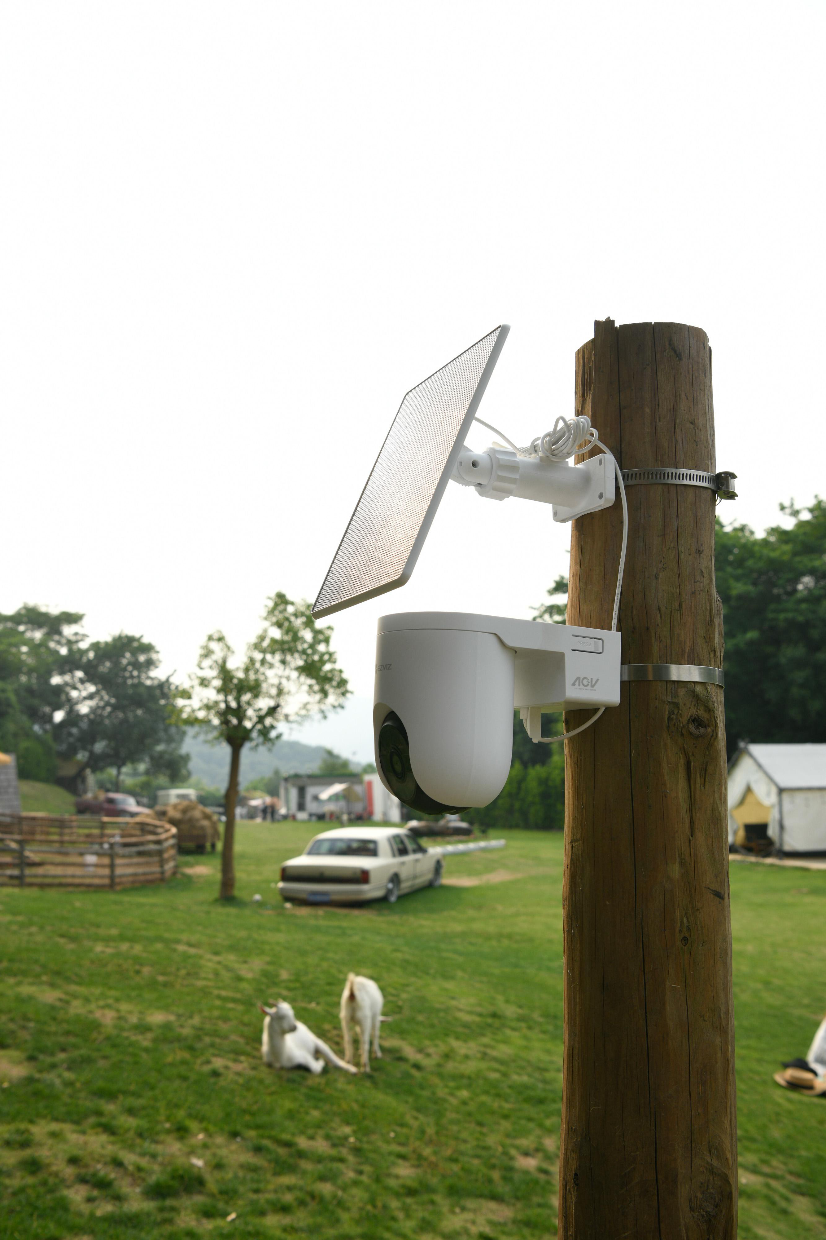 Eine weiße Überwachungskamera mit Solarpanel ist an einem Holzpfosten befestigt. Im Hintergrund grasen Ziegen.