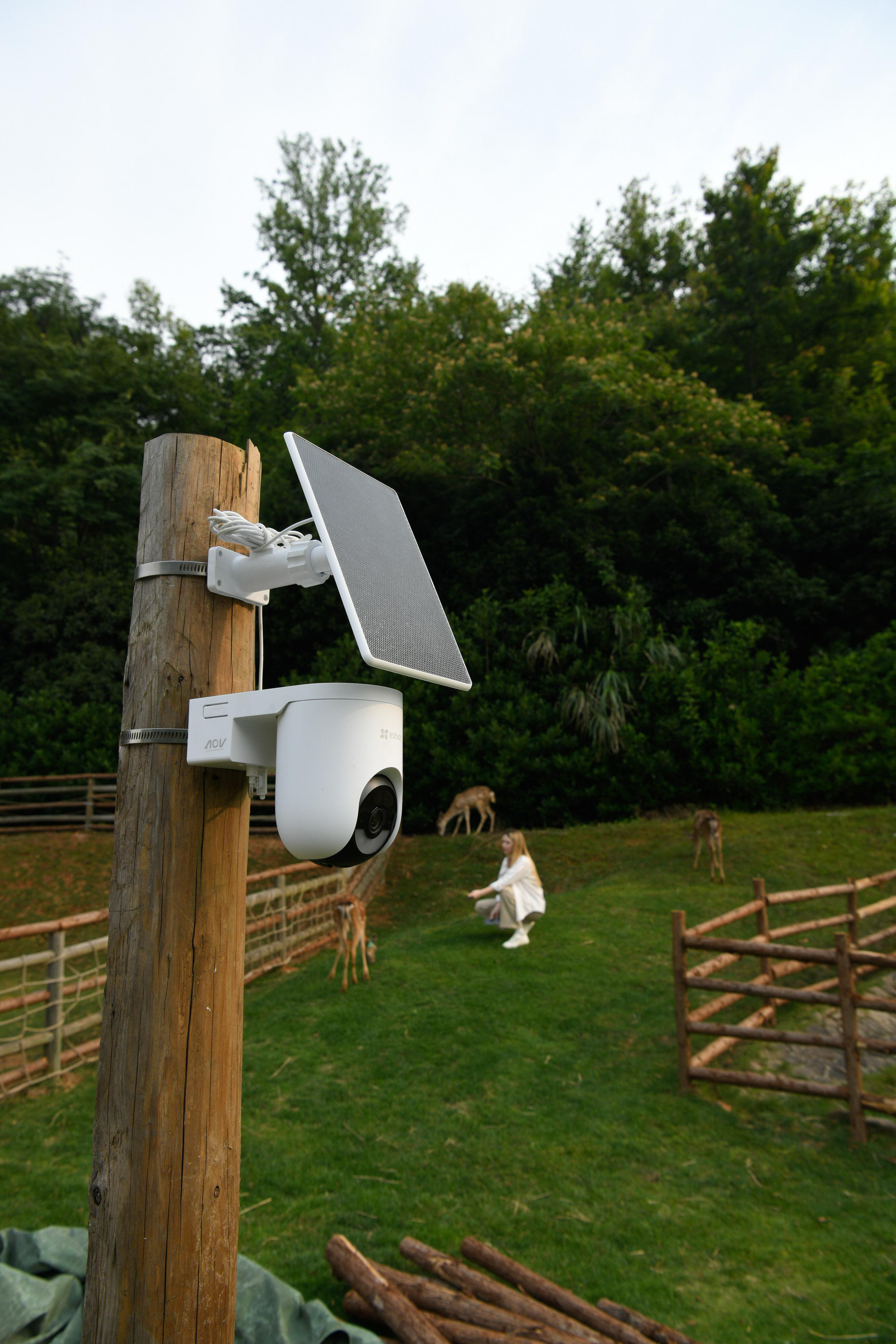 Eine weiße Überwachungskamera mit Solarpanel ist an einem Holzpfahl befestigt. Im Hintergrund grasen Rehe und eine Person hockt.