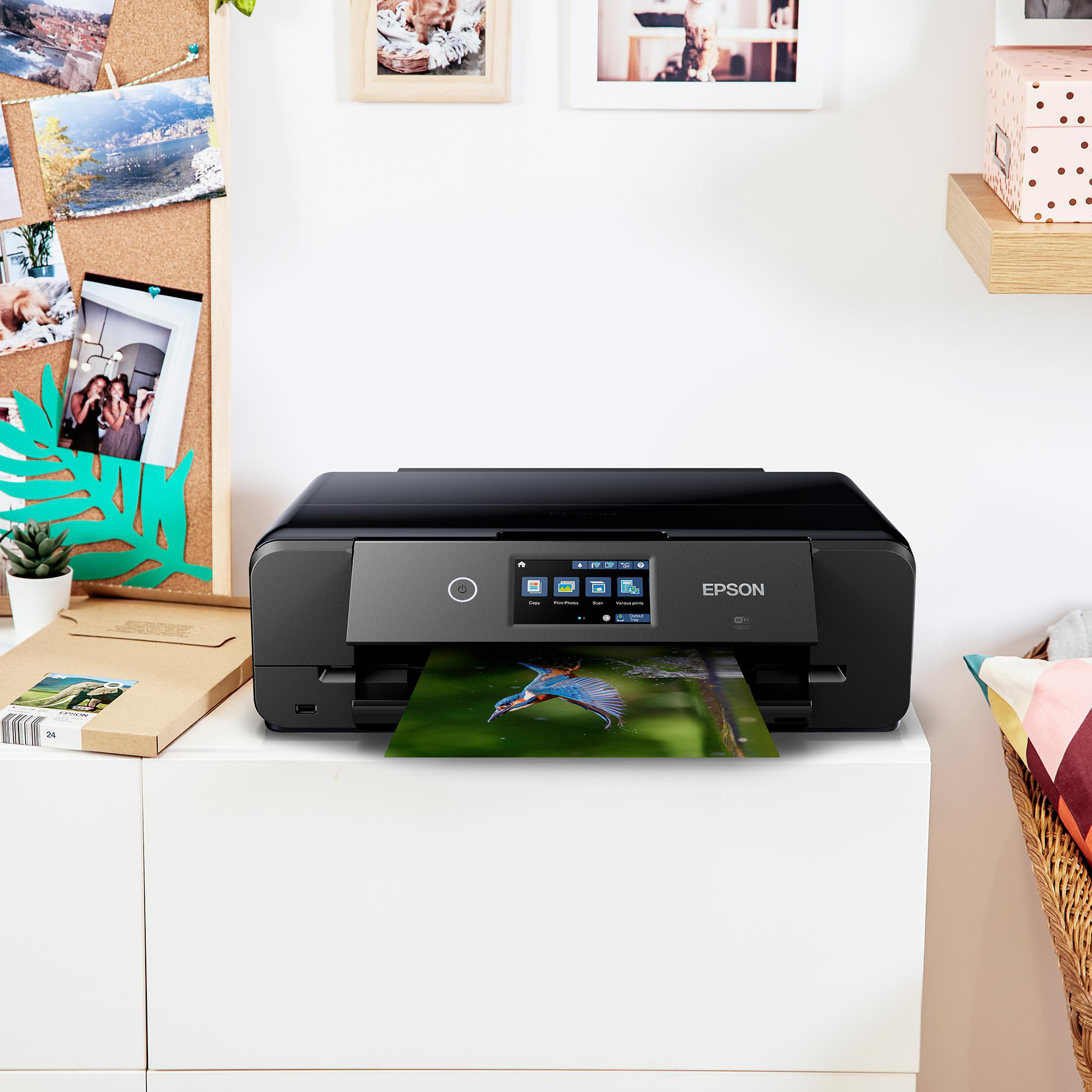 Ein schwarzer Epson-Drucker druckt ein Bild eines Eisvogels. Auf dem Schreibtisch stehen Fotos.