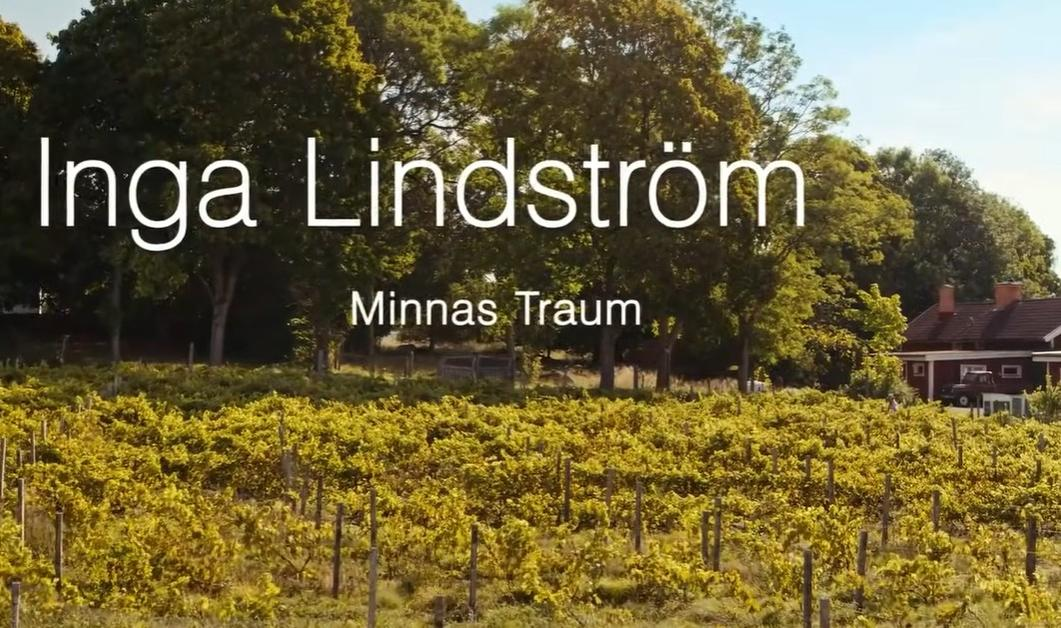 Landschaft mit Weinreben, Bäumen und einem Haus.