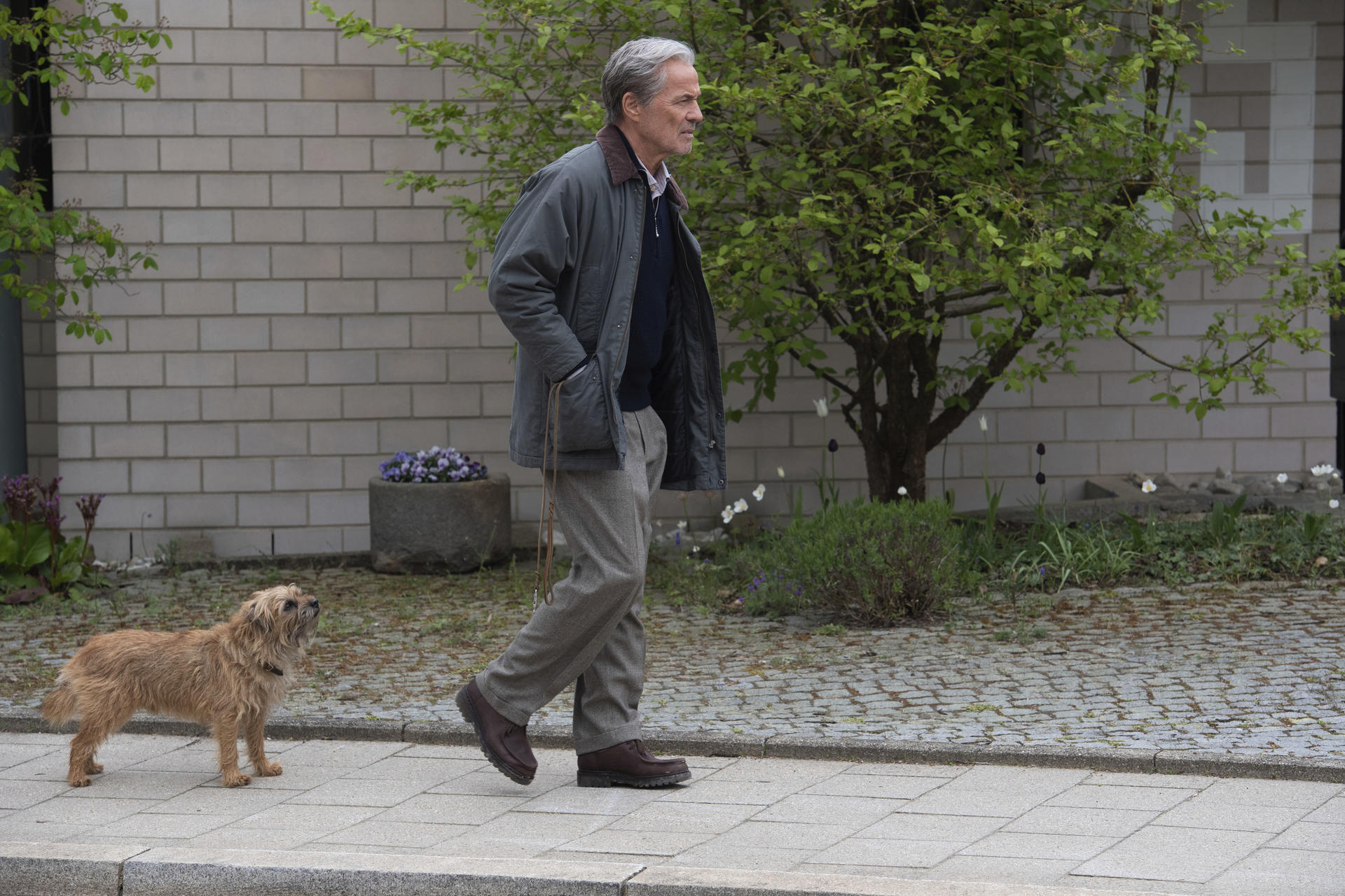 Ein Mann mit grauem Haar geht mit einem kleinen Hund auf einem Gehweg.