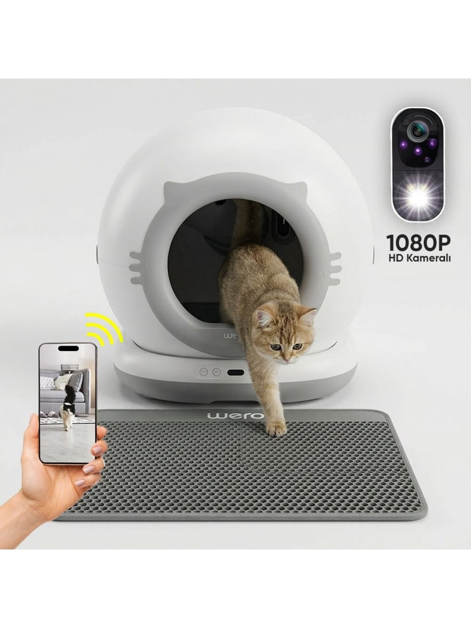 Gri bir paspasın üzerine beyaz bir kedi tuvalet küresinden çıkan bir kedi. Bir kamera görünür.