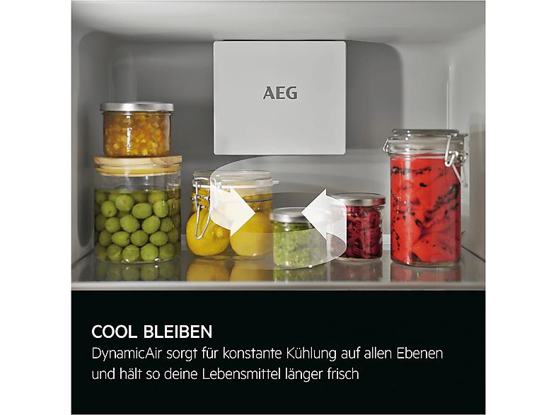 AEG TK6DS18WEC 6000 Kühlschrank (310 l, E, 1769 mm hoch, Weiß)