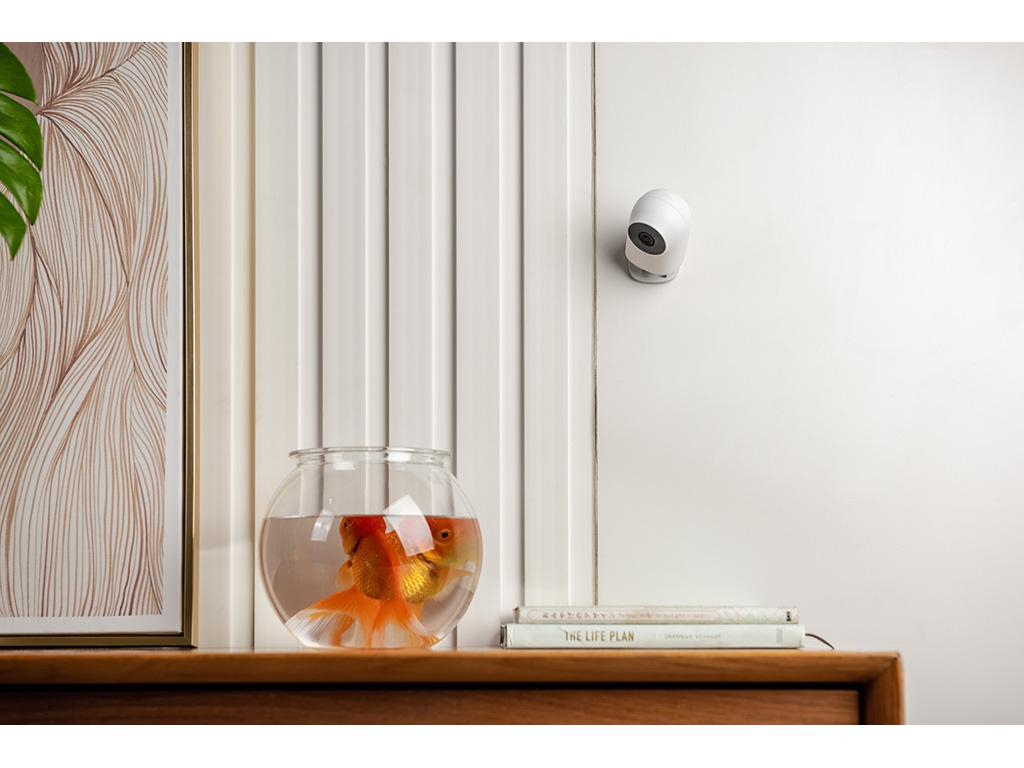 Ein Goldfisch schwimmt in einer runden Glasschale auf einem Holzregal. Eine Überwachungskamera ist an der Wand montiert.